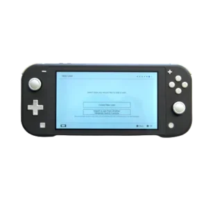 Nintendo Switch Lite Sort Grå